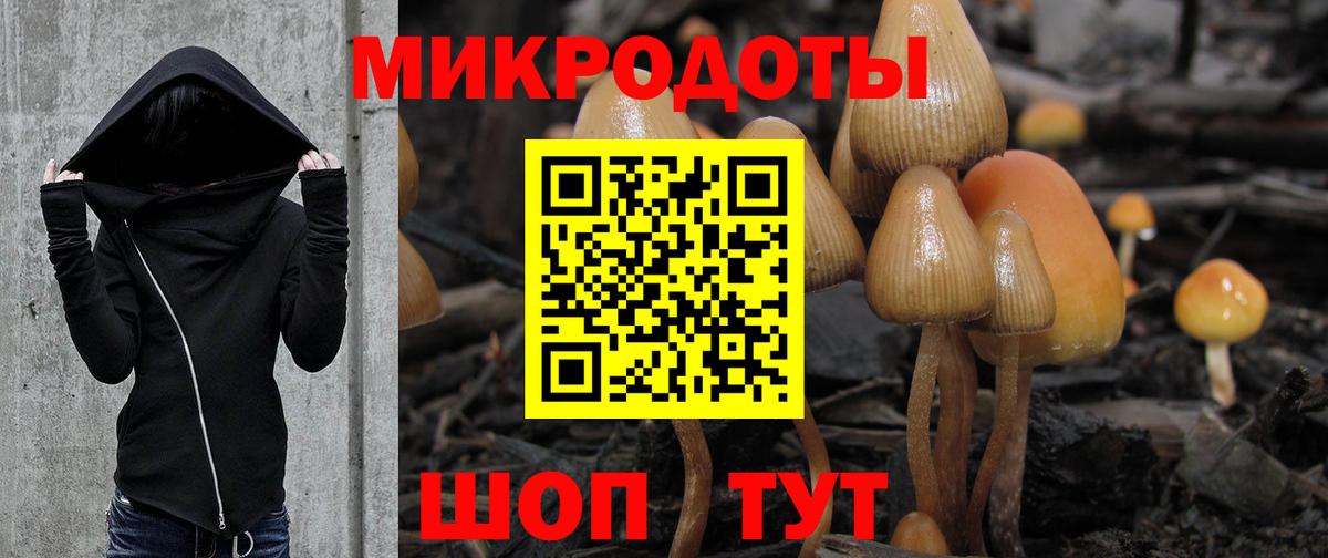 Галлюциногенные грибы Psilocybine cubensis  Вход с VPN  Галлюциногенные грибы MAGIC MUSHROOMS  Егорьевск 